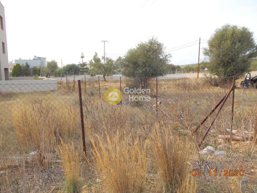 Building Plot in Paloukia, Abelakia — Photo 4 of 12