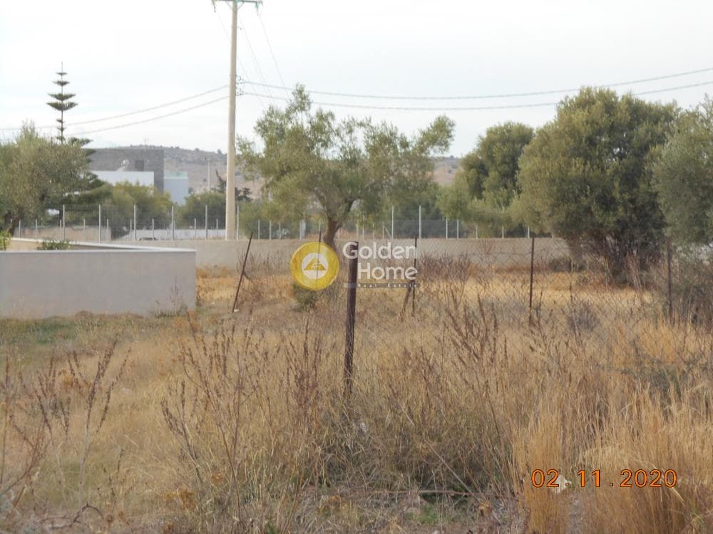Building Plot in Paloukia, Abelakia — Photo 5 of 12