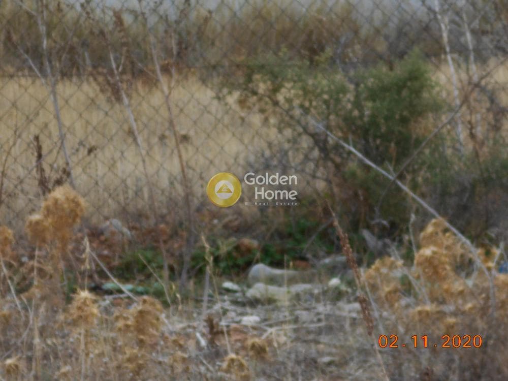 Building Plot in Paloukia, Abelakia — Photo 9 of 12