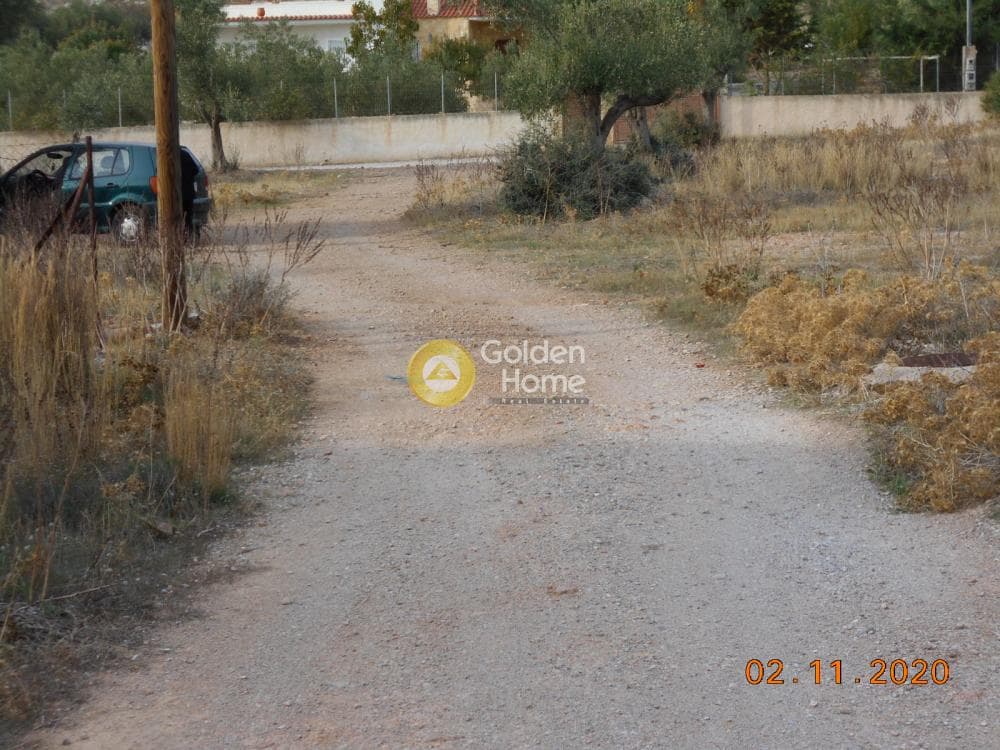 Building Plot in Paloukia, Abelakia — Photo 10 of 12