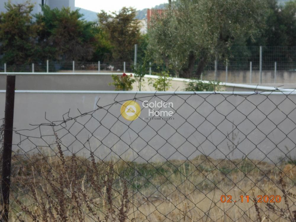 Building Plot in Paloukia, Abelakia — Photo 12 of 12