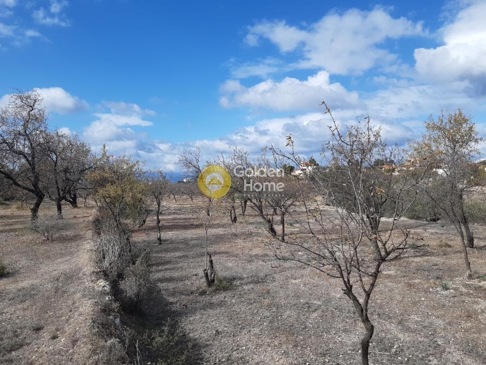Building Plot in Pagoni, Aegina — Photo 1 of 3