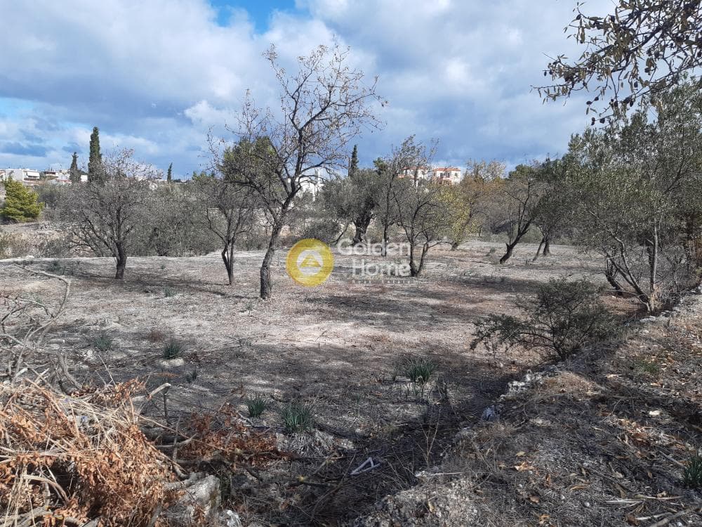 Building Plot in Pagoni, Aegina — Photo 3 of 3