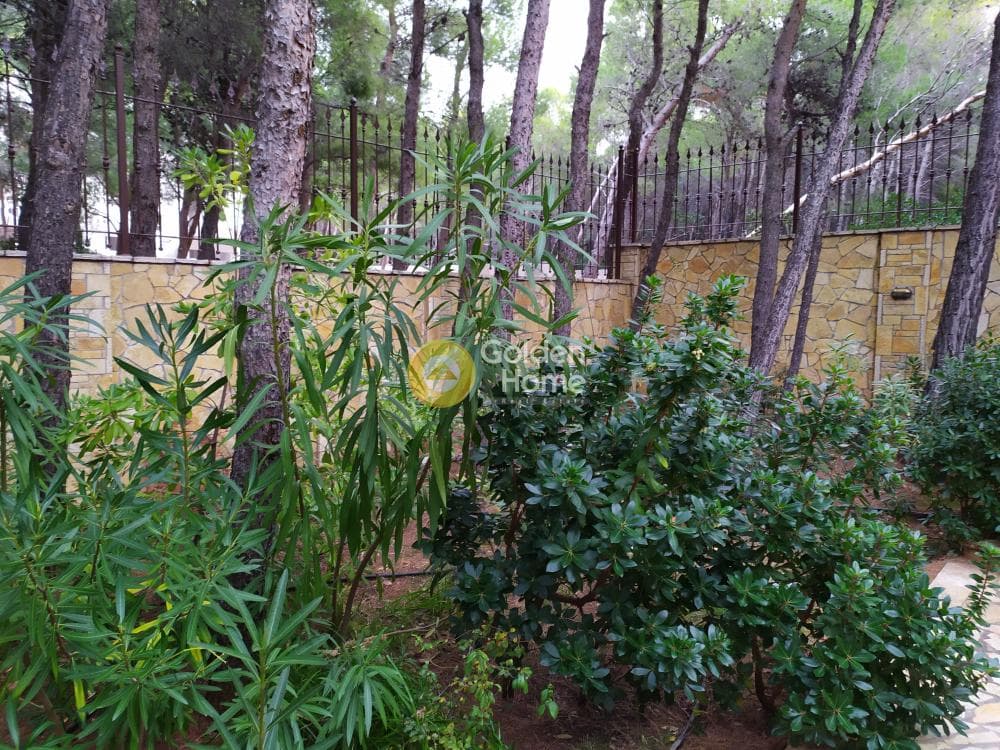Μονοκατοικία στην Μεγάλα Σχοινία Α, Αχαρνές — Φωτογραφία 12 από 68