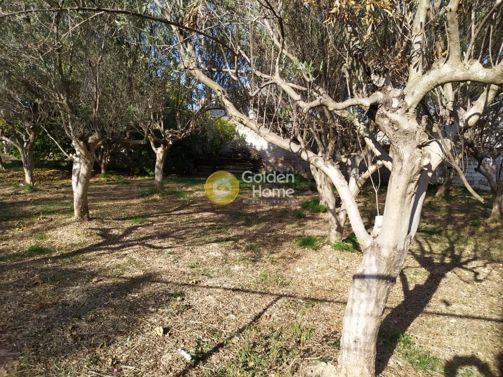 Building Plot in Agios Serafeim, Artemida (Loutsa) — Photo 2 of 9