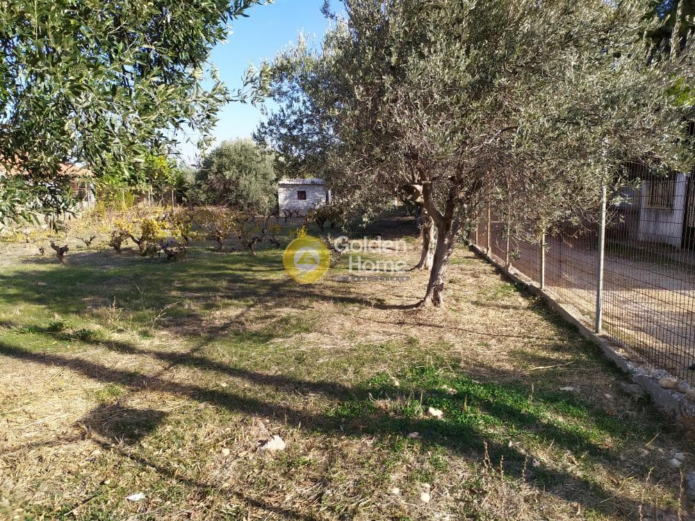 Building Plot in Agios Serafeim, Artemida (Loutsa) — Photo 8 of 9