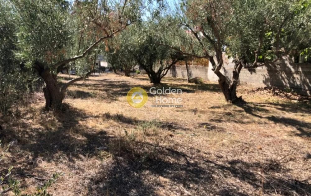 Building Plot in Megala Sxoinia A, Acharnes — Photo 1 of 3