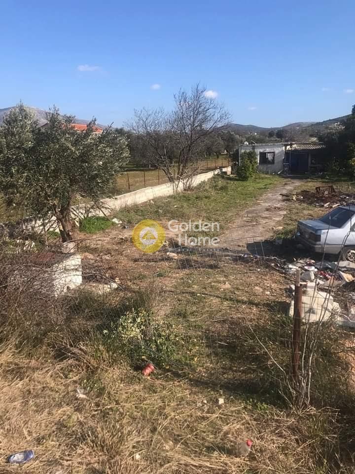 House in Kefleika, Kalivia Thorikou — Photo 1 of 2