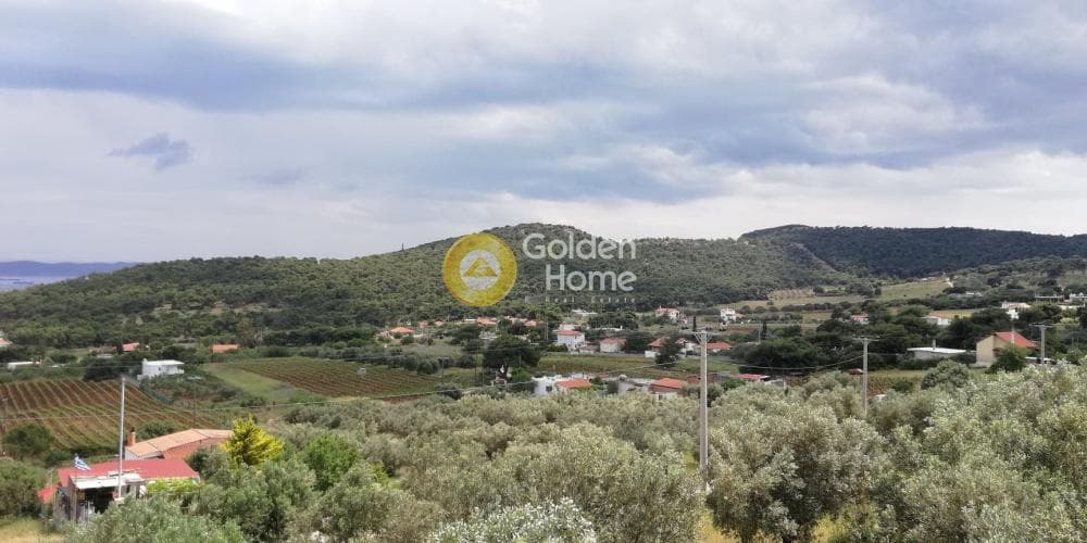 House in Markati, Lavrio — Photo 9 of 19