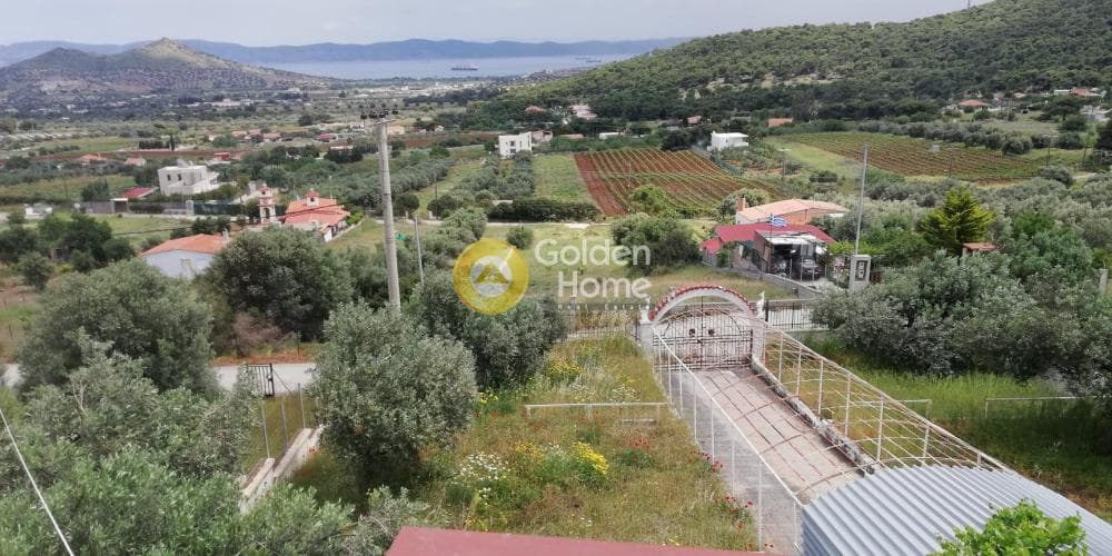 House in Markati, Lavrio — Photo 11 of 19