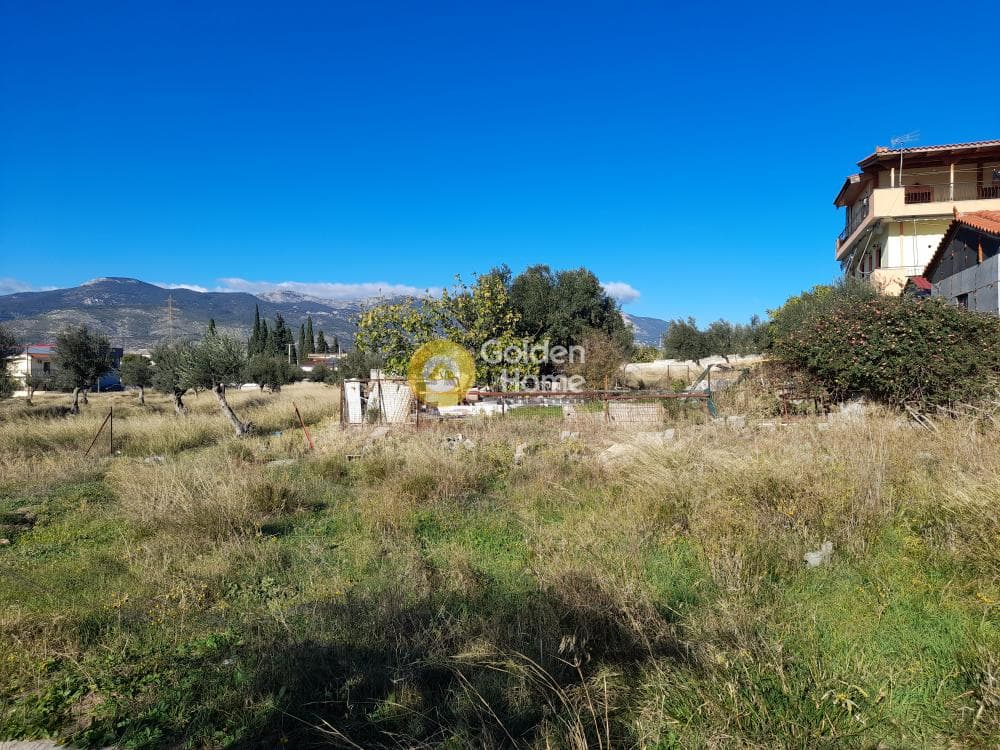 Οικόπεδο στην Πυργούθι, Αχαρνές — Φωτογραφία 3 από 5