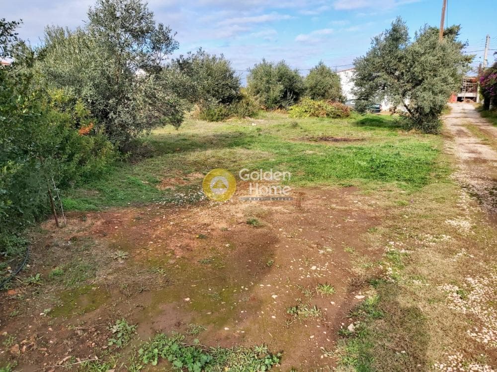 Αγροτεμάχιο στην Βορινέζα, Αρτέμιδα (Λούτσα) — Φωτογραφία 1 από 11