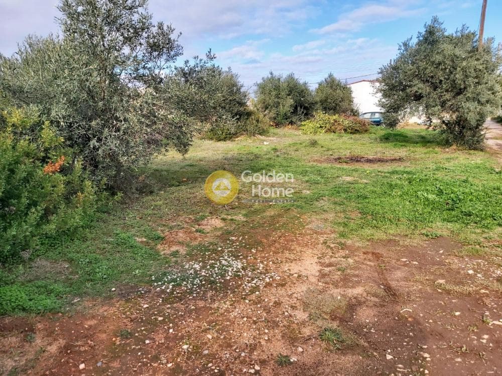 Αγροτεμάχιο στην Βορινέζα, Αρτέμιδα (Λούτσα) — Φωτογραφία 5 από 11
