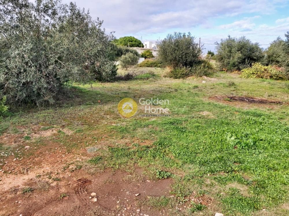 Αγροτεμάχιο στην Βορινέζα, Αρτέμιδα (Λούτσα) — Φωτογραφία 6 από 11