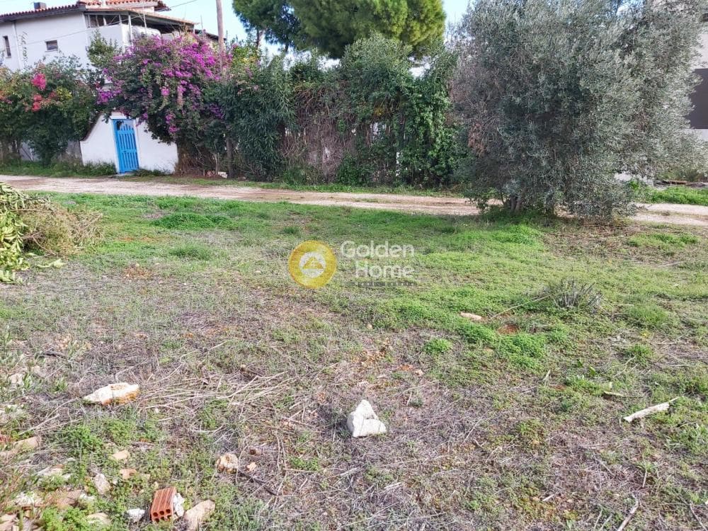Αγροτεμάχιο στην Βορινέζα, Αρτέμιδα (Λούτσα) — Φωτογραφία 8 από 11