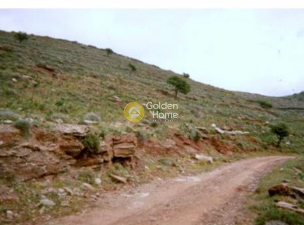 Parcel in Koundouros, Kea — Photo 2 of 3