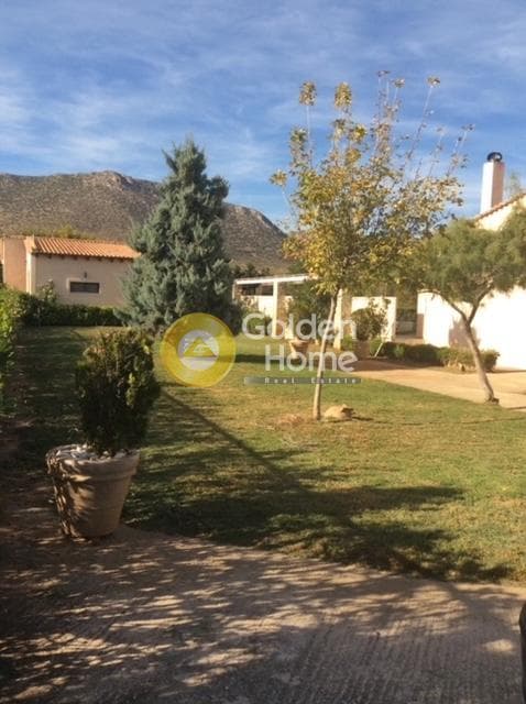 House in Agios Panteleimonas, Nea Makri — Photo 19 of 28
