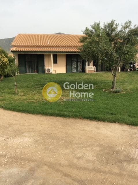 House in Agios Panteleimonas, Nea Makri — Photo 16 of 28