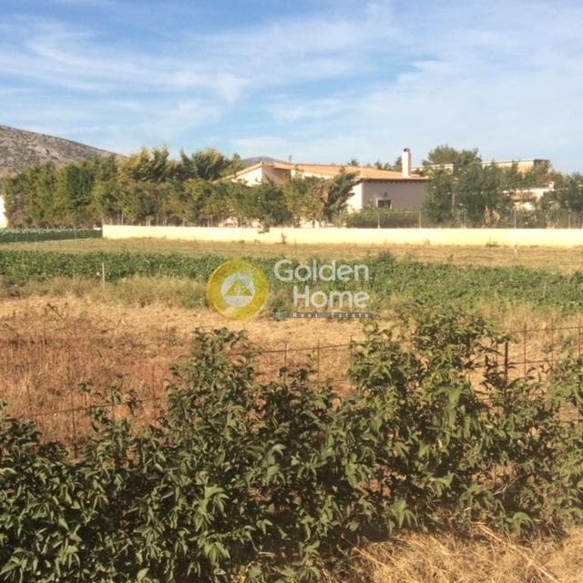 House in Agios Panteleimonas, Nea Makri — Photo 21 of 28