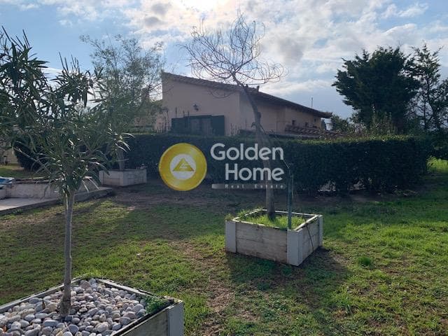 House in Agios Panteleimonas, Nea Makri — Photo 28 of 28