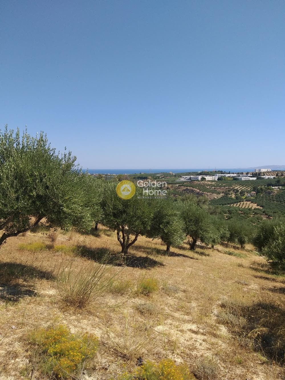 Building Plot in Kato Kalesia, Temenos — Photo 4 of 6