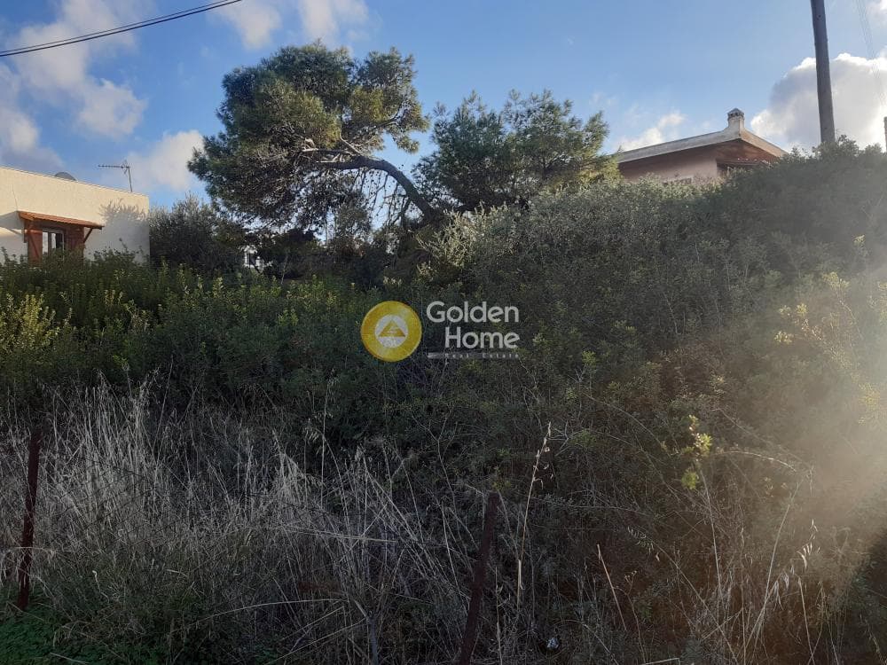Building Plot in Vaΐa, Aegina — Photo 1 of 3