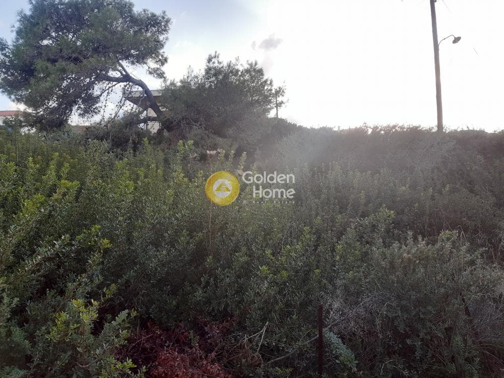 Building Plot in Vaΐa, Aegina — Photo 2 of 3