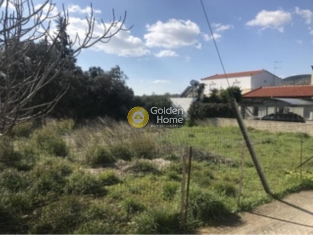 Building Plot in Agia Marina, Koropi — Photo 2 of 3