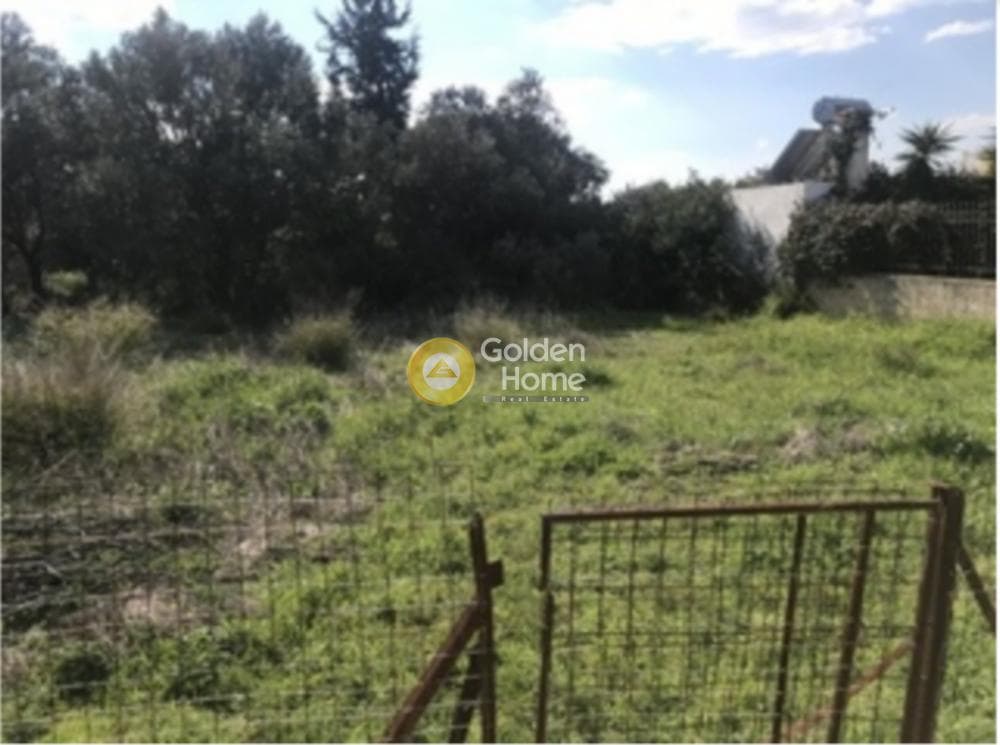 Building Plot in Agia Marina, Koropi — Photo 3 of 3