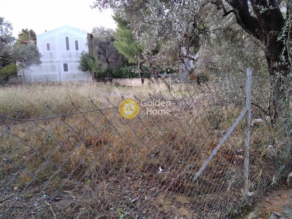 Οικόπεδο στην Αγία Κυριακή, Κηφισιά — Φωτογραφία 1 από 9