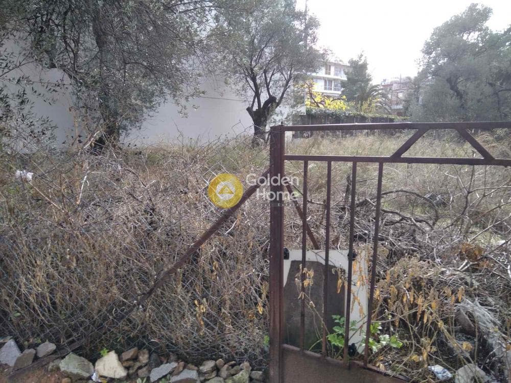 Οικόπεδο στην Αγία Κυριακή, Κηφισιά — Φωτογραφία 2 από 9