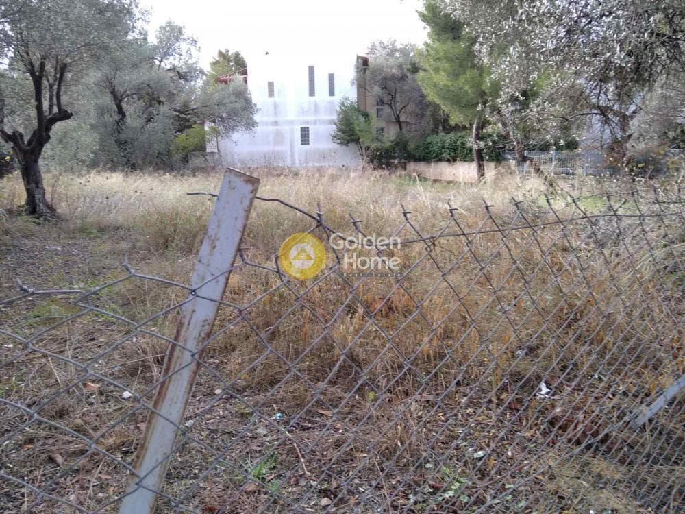 Οικόπεδο στην Αγία Κυριακή, Κηφισιά — Φωτογραφία 5 από 9