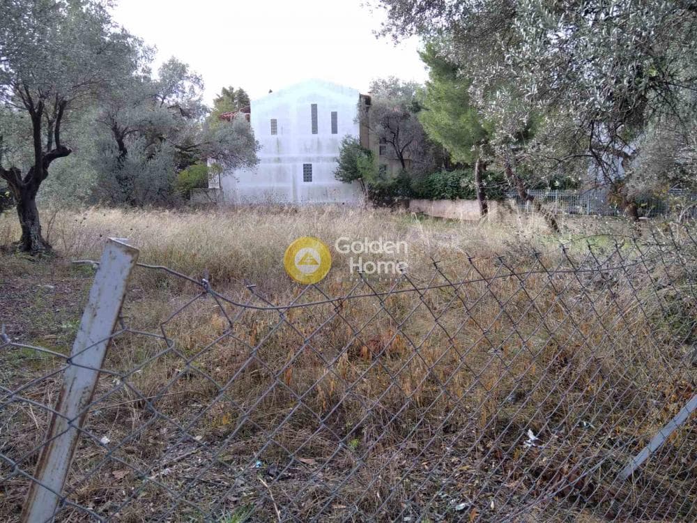Οικόπεδο στην Αγία Κυριακή, Κηφισιά — Φωτογραφία 7 από 9