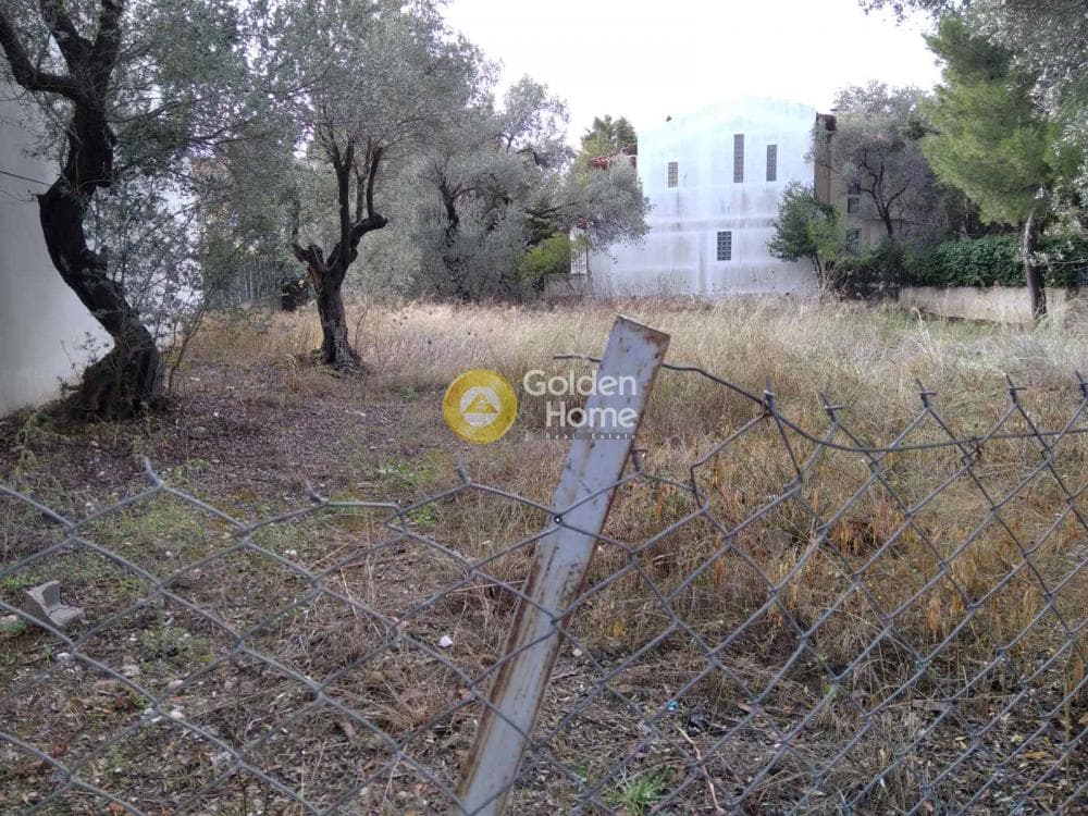 Οικόπεδο στην Αγία Κυριακή, Κηφισιά — Φωτογραφία 8 από 9