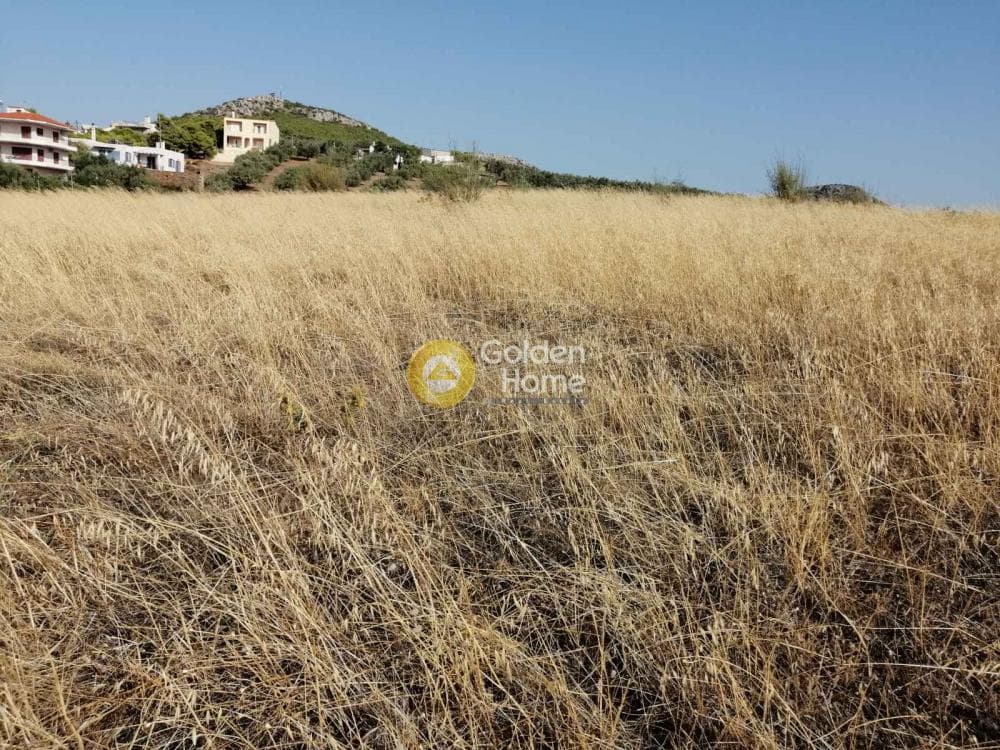 Αγροτεμάχιο στην Καμάριζα, Λαύριο — Φωτογραφία 2 από 14