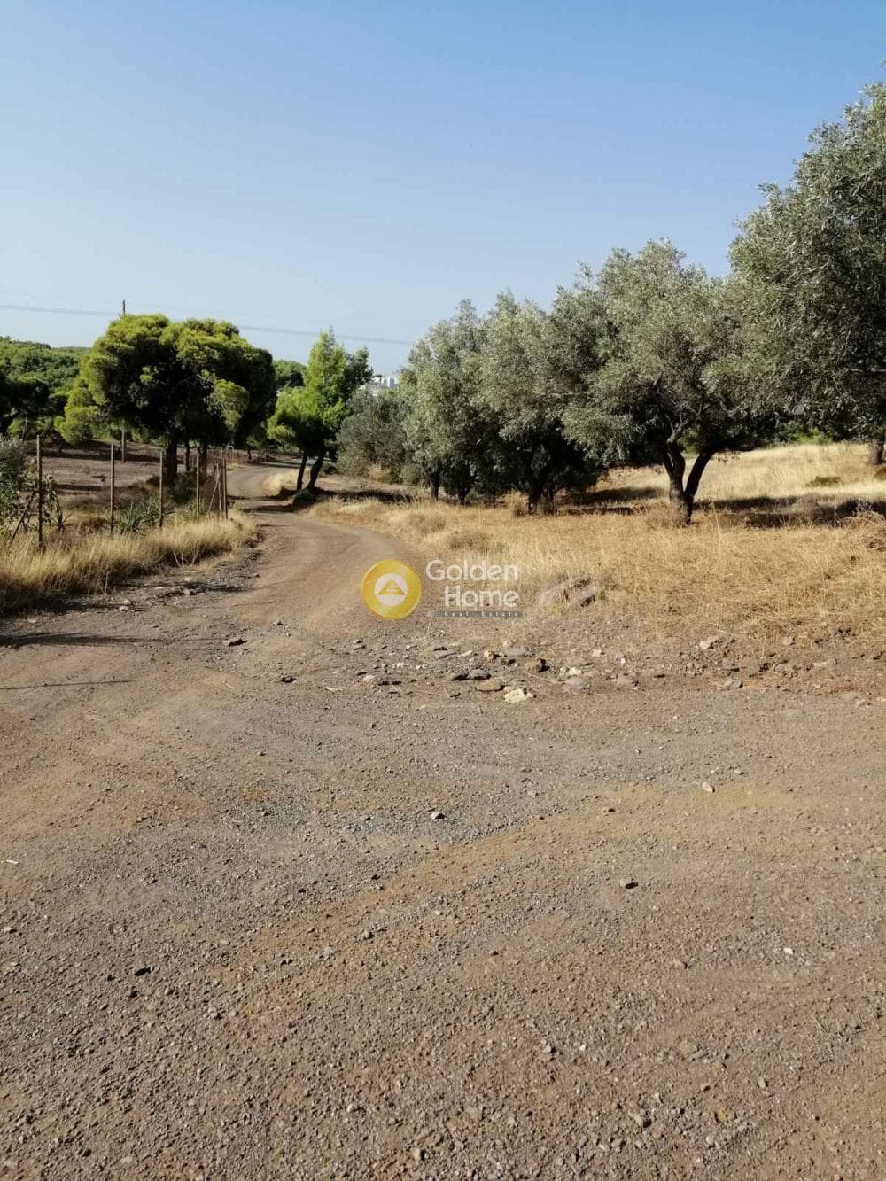 Αγροτεμάχιο στην Καμάριζα, Λαύριο — Φωτογραφία 5 από 14
