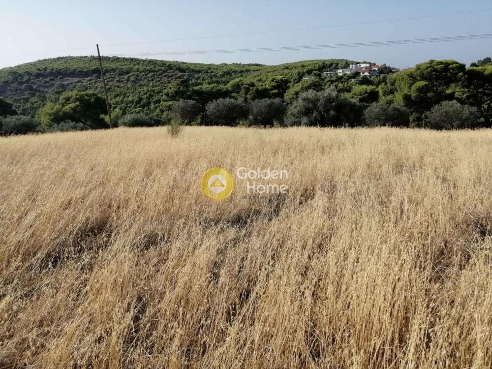Αγροτεμάχιο στην Καμάριζα, Λαύριο — Φωτογραφία 6 από 14