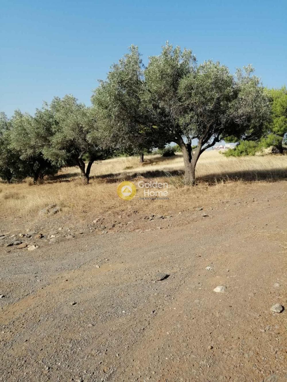 Αγροτεμάχιο στην Καμάριζα, Λαύριο — Φωτογραφία 12 από 14