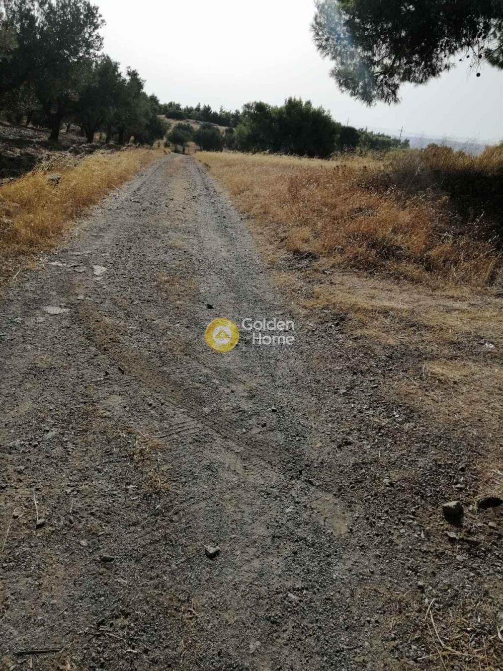 Αγροτεμάχιο στην Καμάριζα, Λαύριο — Φωτογραφία 7 από 14