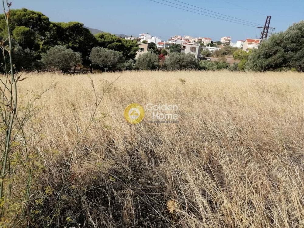 Αγροτεμάχιο στην Καμάριζα, Λαύριο — Φωτογραφία 14 από 14