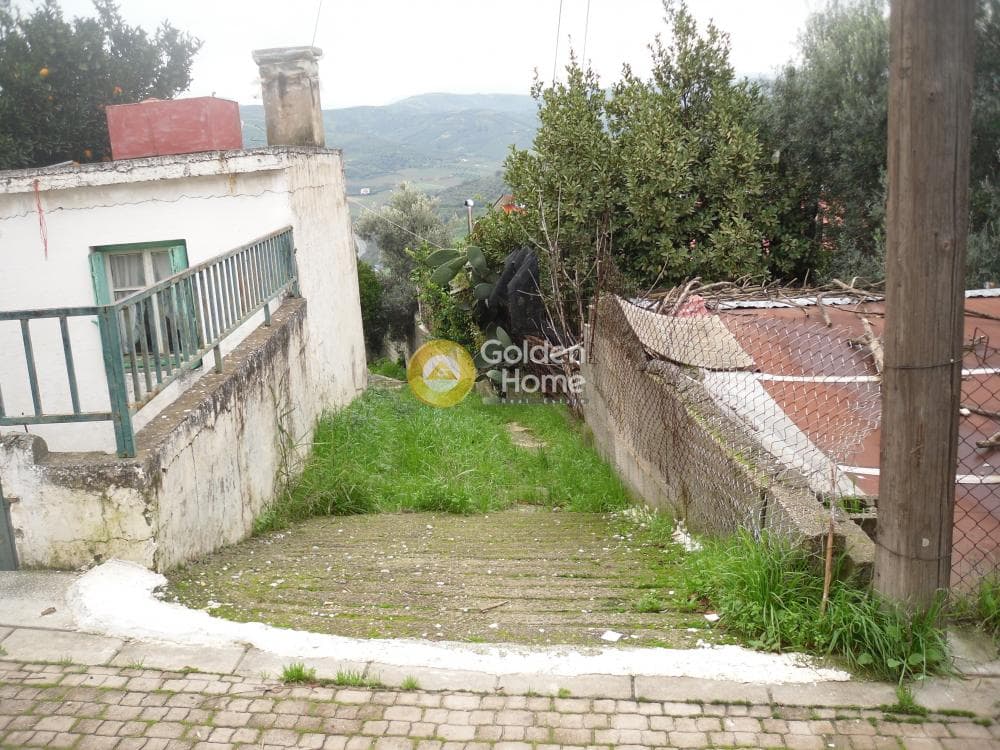 Οικόπεδο στην Σταυράκια, Τετραχώρι — Φωτογραφία 12 από 19