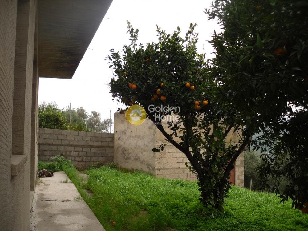 Οικόπεδο στην Σταυράκια, Τετραχώρι — Φωτογραφία 2 από 19