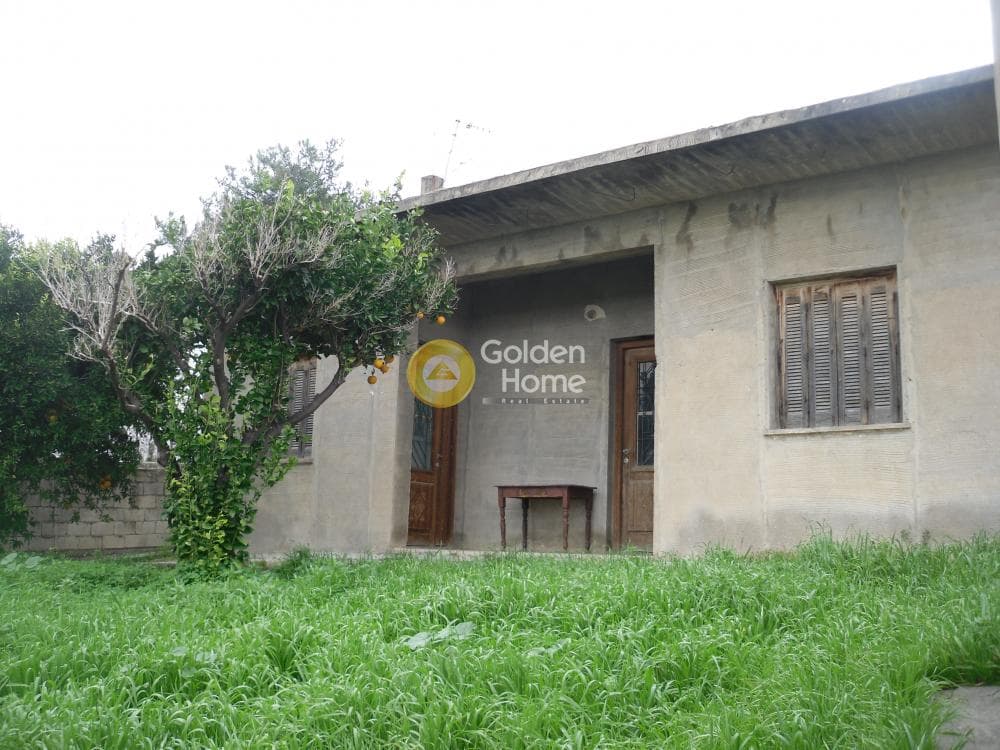 Οικόπεδο στην Σταυράκια, Τετραχώρι — Φωτογραφία 4 από 19