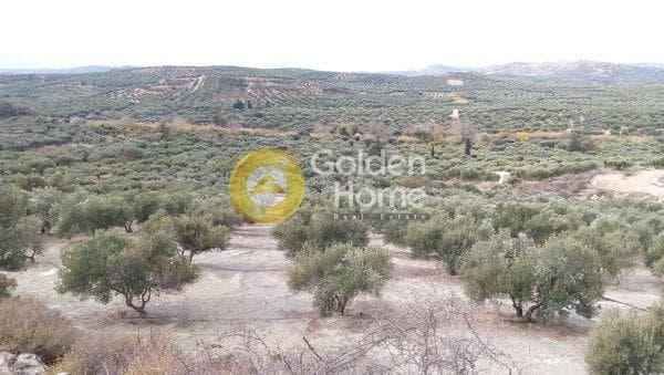Building Plot in Kasanos, Arkalochori — Photo 1 of 3