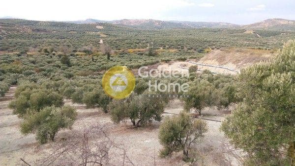 Building Plot in Kasanos, Arkalochori — Photo 2 of 3