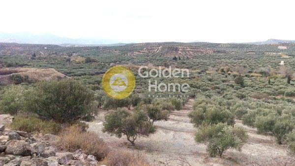 Building Plot in Kasanos, Arkalochori — Photo 3 of 3