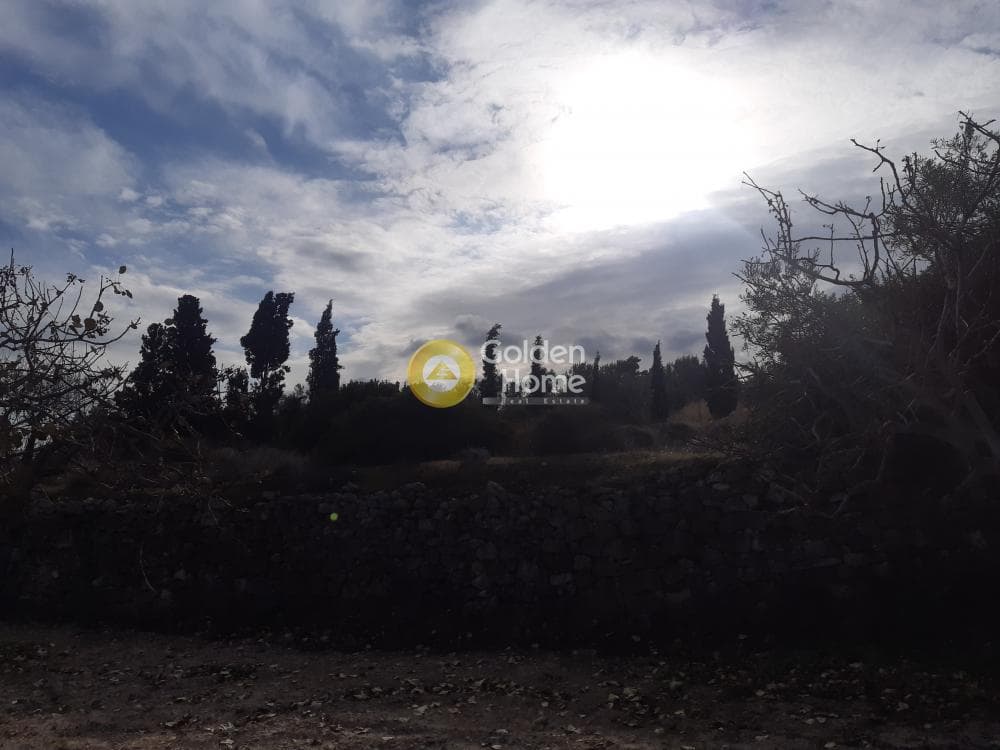 Building Plot in Kipseli, Aegina — Photo 2 of 3