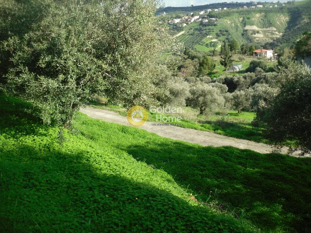 Building Plot in Gournes, Temenos — Photo 4 of 7