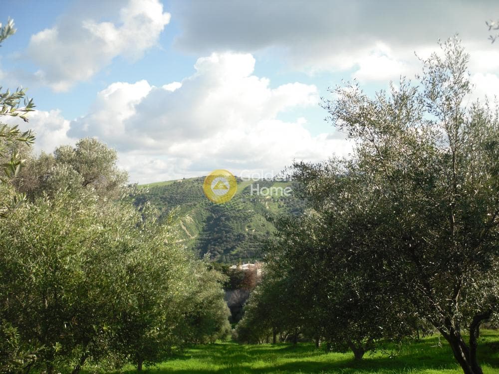 Building Plot in Gournes, Temenos — Photo 5 of 7