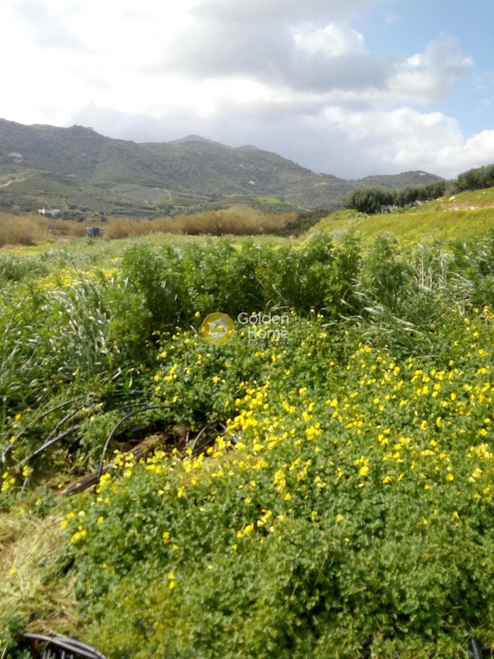 Building Plot in Agia Pelagia, Gazi — Photo 7 of 12